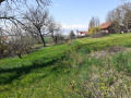 Prodej pozemku