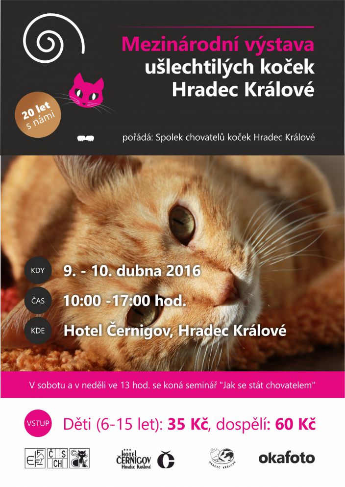 kočky