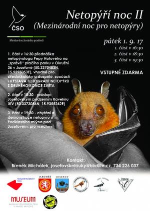 Netopýří noc II 1