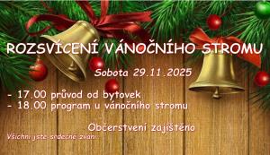 vánoční strom se světly