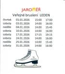 Veřejné bruslení leden