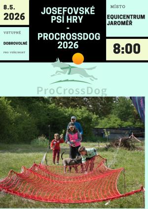 psí hry v přírodě